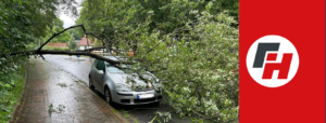 Read more about the article Einsatz – Baum auf Auto