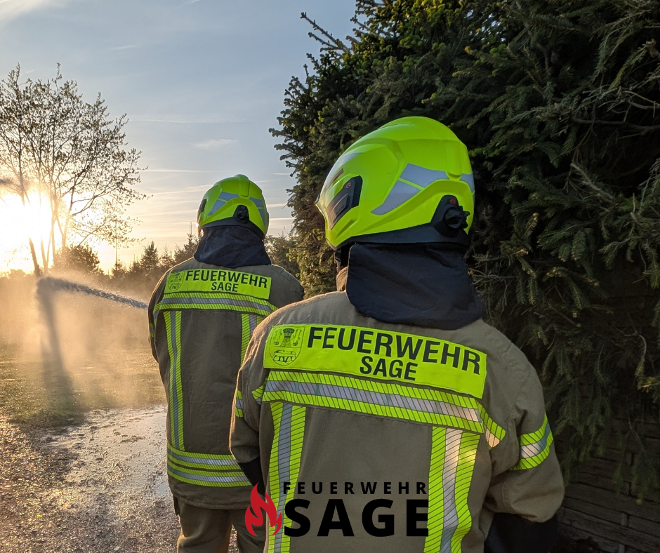 Read more about the article Einsatz: F1 – kleiner Flächenbrand