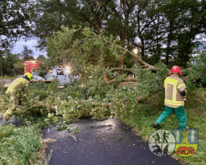 Read more about the article Einsatz: Baum auf Strasse