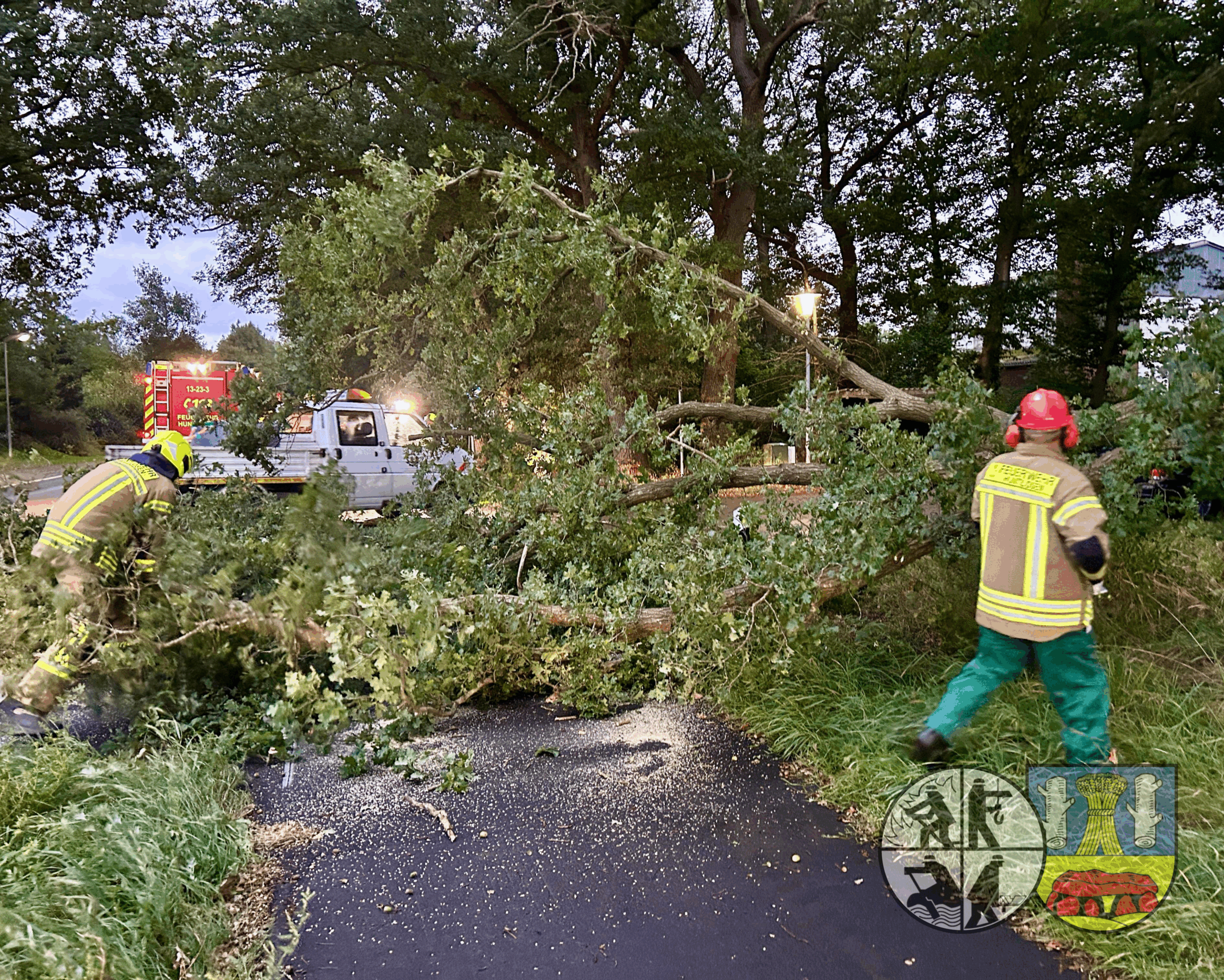 Read more about the article Einsatz: Baum auf Strasse